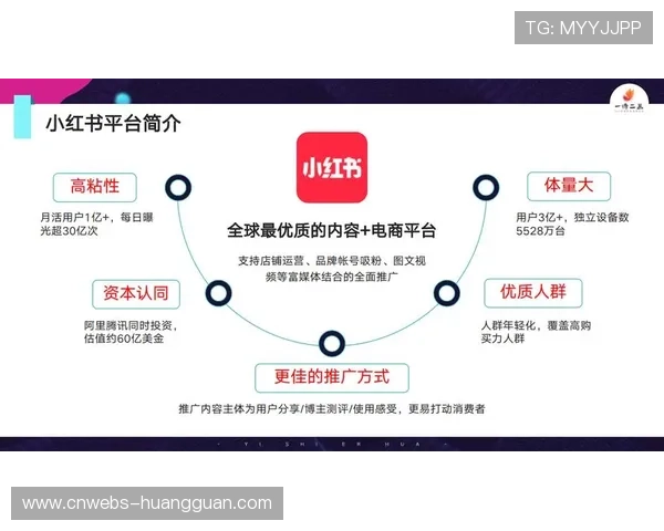 订阅与广告混合变现模式支撑内容生态可持续发展