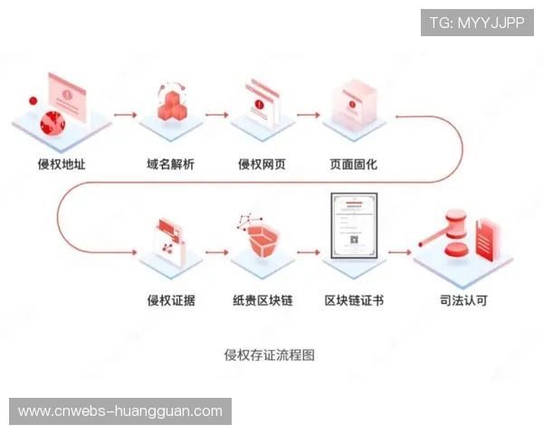 区块链存证系统 版权证据链完善